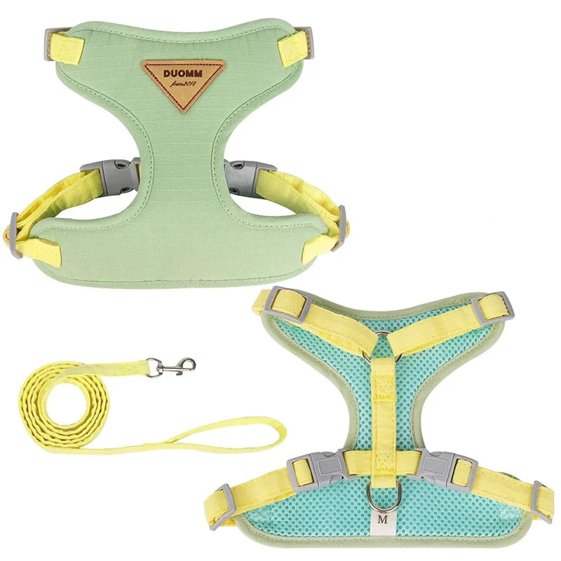 Duomm Luxe Kattentuig met Riem Set - Escape-Proof & Verstelbaar